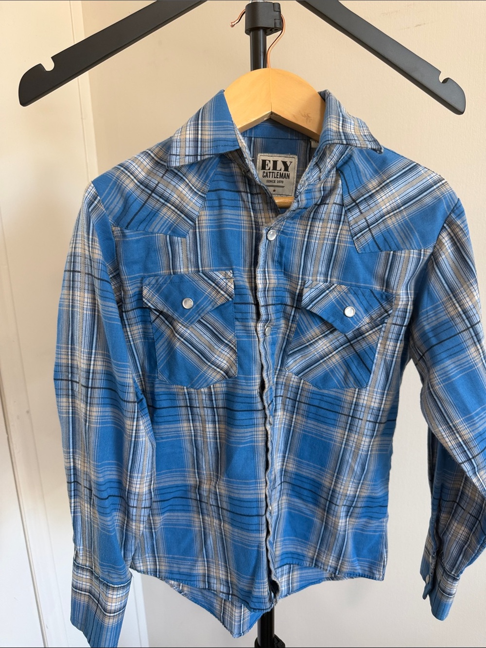 Ely Cattleman Blue Plaid Western Button-Up Shirt